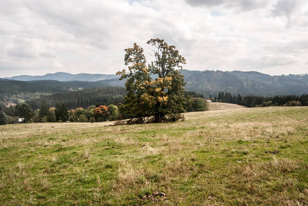 herfst Moravskoslezske Beskydy gebergte in de buurt van Vysni Mohelnice in Tsjechië - Foto, afbeelding