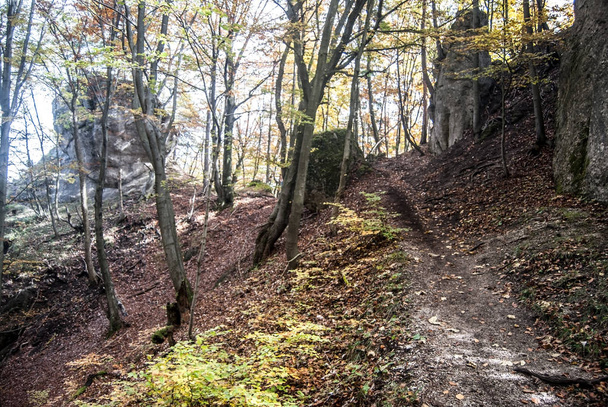 őszi jubileumi skaly hegység Szlovákiában - Fotó, kép