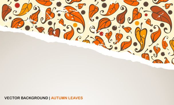 Hintergrund mit zerrissenem Papier und Herbstblättern - Vektor, Bild