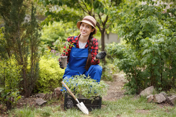 woman gardener holding seedling of tomato - Foto, imagen