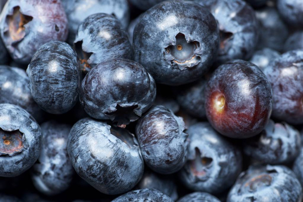 Blueberries close up - Photo, Image