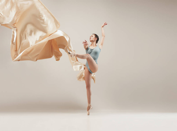 Modern ballet dancer dancing in full body on white studio background. - Foto, Bild
