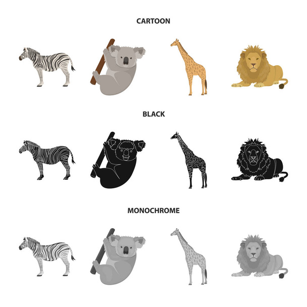 Africké zebry, zvířecí koala, žirafa, divoký dravec, lev. Divoká zvířata sada kolekce ikon v karikatuře, černá, monochromatickém stylu vektor symbol skladem ilustrace web. - Vektor, obrázek