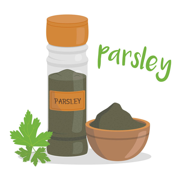 Vector parsley illustration isolated in cartoon style. Herbs and Species Series - Vector, Image
