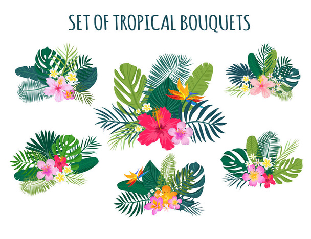 Набор традиционных и тропических цветов и листьев
 - Вектор,изображение