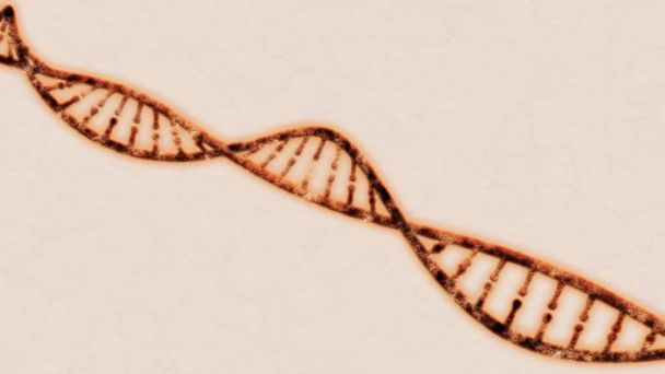 DNA, deoksiribonukleiinihappo on langan kaltainen nukleotidien ketju, jossa on geneettiset ohjeet, joita käytetään kaikkien tunnettujen elävien organismien ja monien virusten kasvuun, kehitykseen, toimintaan ja lisääntymiseen. DNA helix ruostunut helix DNA
 - Valokuva, kuva