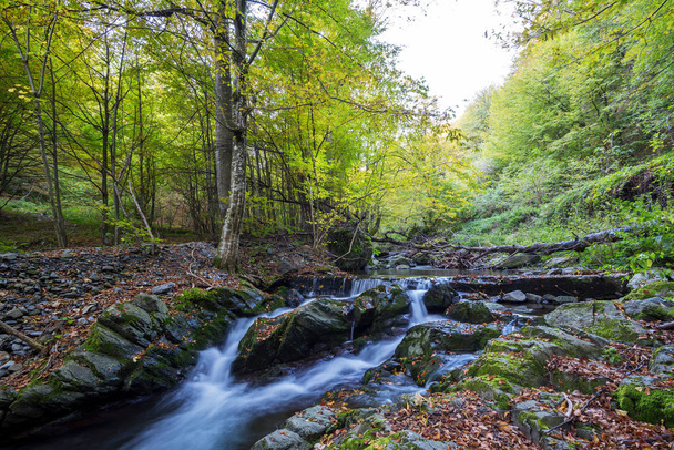 Autumn waterfall in Bulgaria. - Foto, imagen