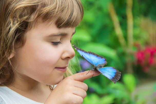 Ребенок с бабочкой. Селективный фокус
. - Фото, изображение