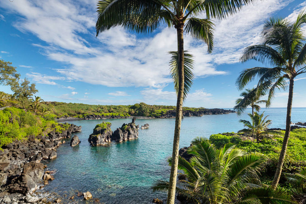 Πανέμορφη τροπική παραλία στο νησί Maui, Χαβάη - Φωτογραφία, εικόνα
