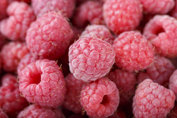 raw fresh raspberries - Foto, imagen