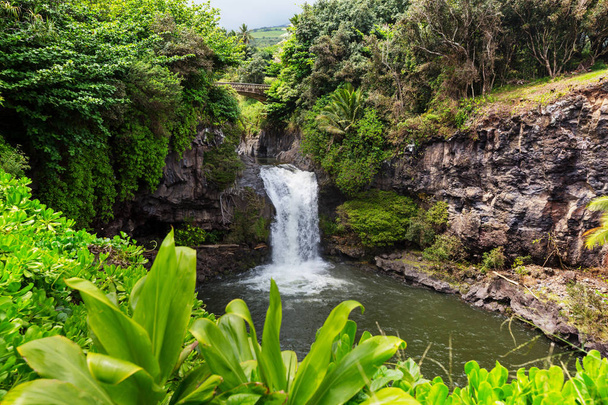 Beautiful tropical waterfall in Hawaii - Photo, Image