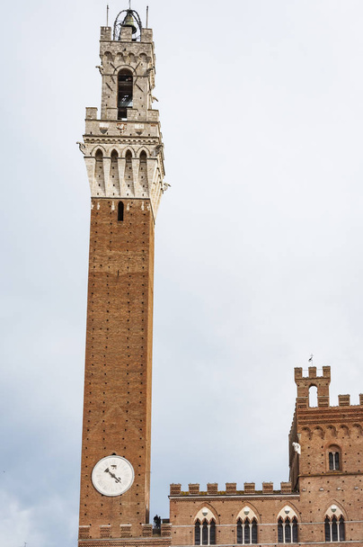 Wieża z Palazzo Pubblico w Siena - Zdjęcie, obraz