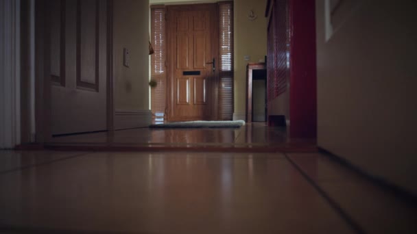 4k Dolly of House Front Door, Dog Running after Ball - Footage, Video