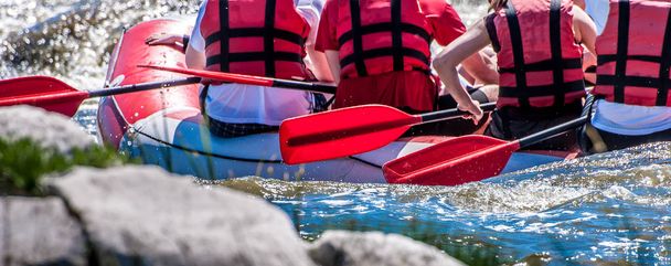 Rafting, kayak. Deporte extremo. Turismo ecológico acuático. Vista de cerca de remos
 - Foto, Imagen