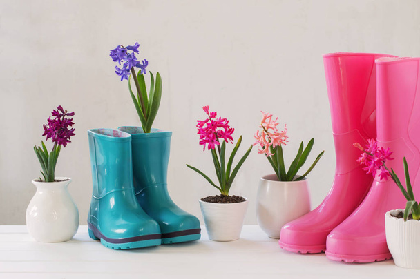 rubber boots and spring flowers on white background - Foto, Bild