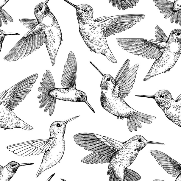 nahtloses Muster aus handgezeichneten fliegenden Kolibris. - Vektor, Bild