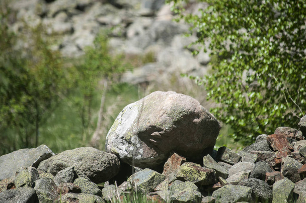 Diferentes tipos de piedras de primer plano apiladas en el fondo de hierba verde en el día soleado
 - Foto, Imagen