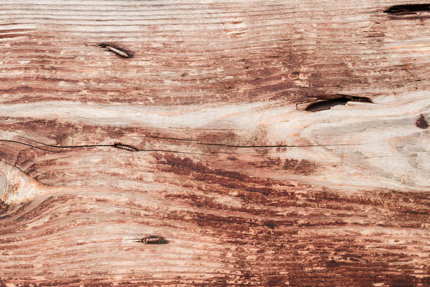 Textura de madera con arañazos y grietas
 - Foto, imagen