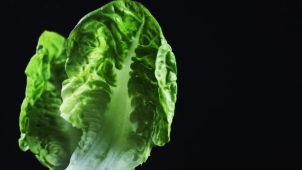 Minimalistischer Schuss Gemüse - Filmmaterial, Video