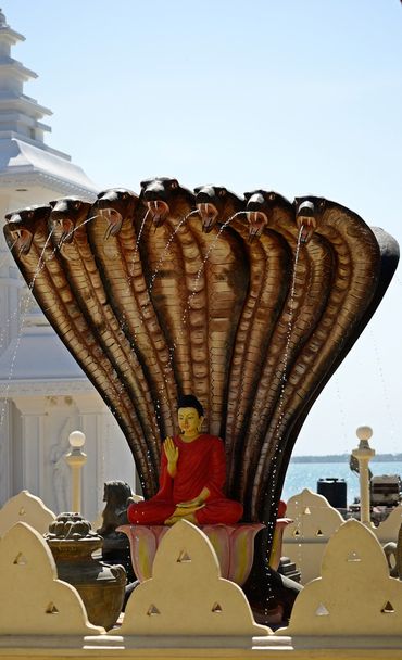 Nainativu, Jaffna, статуя Будди - Фото, зображення