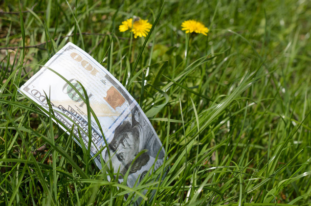 Denominations of dollars and euros in green grass. - Photo, Image