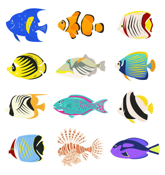 Set of cute tropical fishes on white background. Vector illustration. - Vetor, Imagem