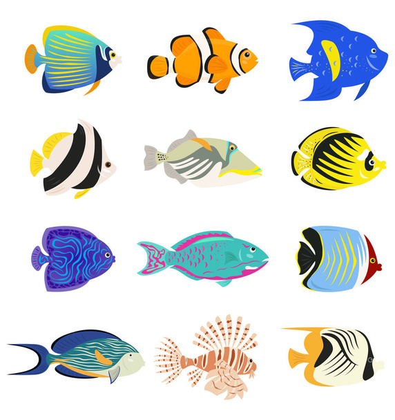 Set of cute tropical fishes on white background. Vector illustration. - Vettoriali, immagini