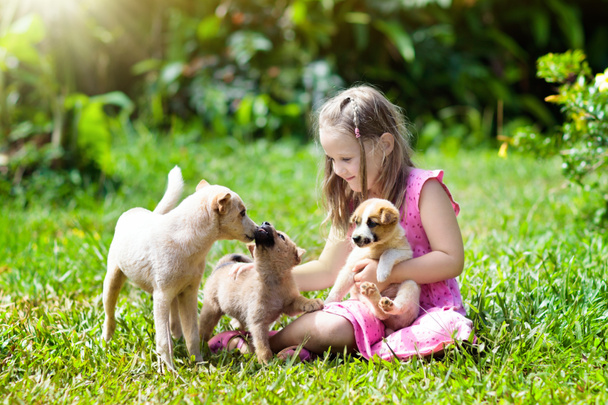 Los niños juegan con el perrito lindo. Niños y perros bebé jugando en el soleado jardín de verano. Niña sosteniendo cachorros. Niño con perro mascota. Familia y mascotas en el césped del parque. Amistad de niños y animales
. - Foto, Imagen