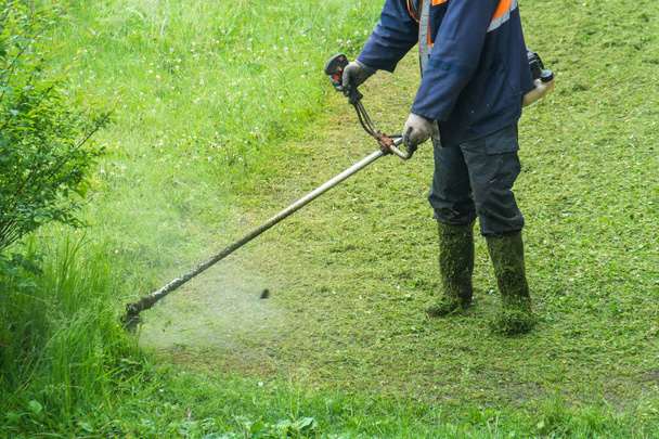 Le jardinier coupe l'herbe par tondeuse à gazon
. - Photo, image