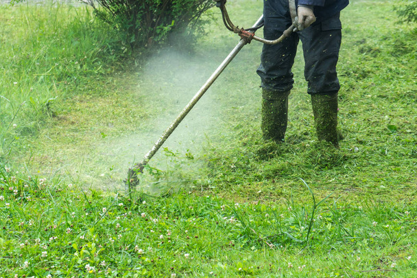 El jardinero cortando hierba por cortacésped
. - Foto, imagen