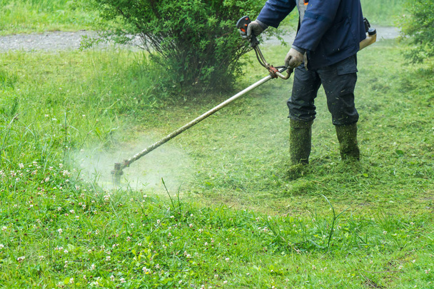 De tuinman snijden gras door grasmaaier. - Foto, afbeelding