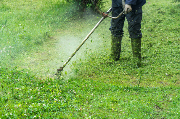 O jardineiro cortando grama por cortador de grama
. - Foto, Imagem