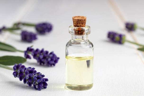 eine Flasche ätherisches Öl mit frisch blühenden Lavendelzweigen auf weißem Hintergrund - Foto, Bild
