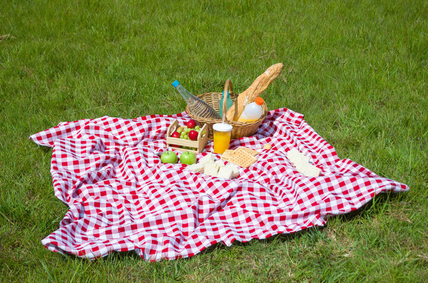 Nagy koncepció a piknik-niket, piknik-niket gyümölcsökkel és gyümölcslével a zöld gyepen, gyönyörű kilátással - Fotó, kép