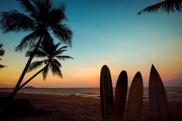 Silhouet surfplank op tropisch strand bij zonsondergang in de zomer. Zeegezicht van zomer beach en palm tree bij zonsondergang. Vintage kleurtoon - Foto, afbeelding