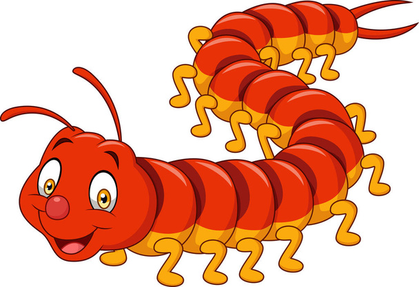 Cartoon centipede isolated on white background - Vector, Image