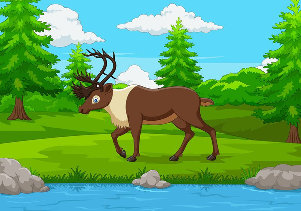 Мультфильм о лоси в лесу - Вектор,изображение