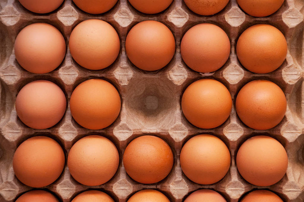 Huevos de pollo marrón frescos y sin romper se encuentran en una bandeja de cartón especial
 - Foto, imagen
