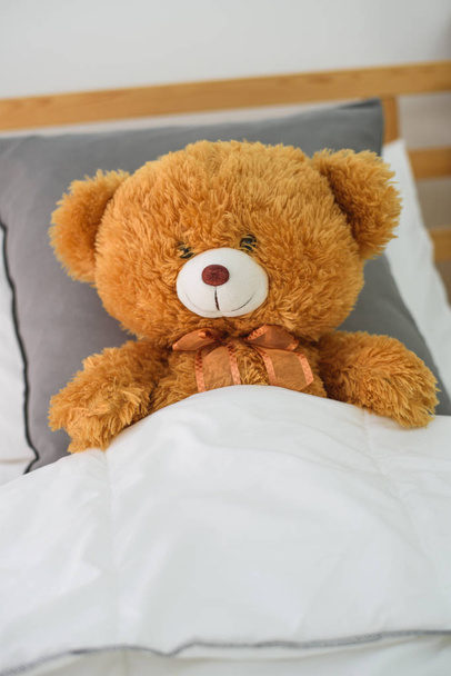 Teddy urso na cama
 - Foto, Imagem