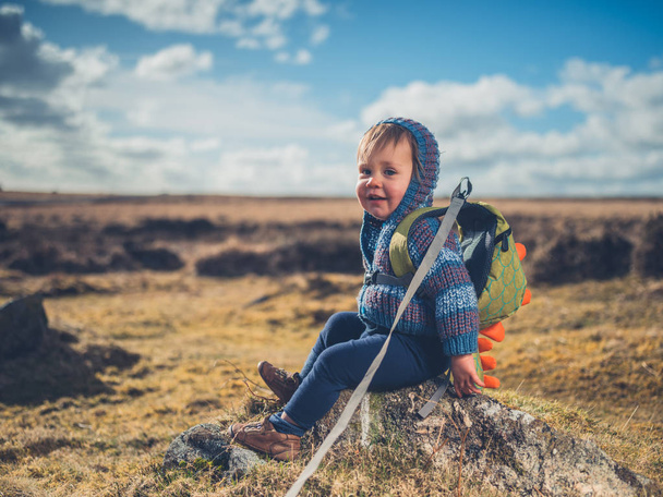A cute little boy is sitting on a rock on the moor - Фото, изображение