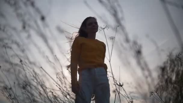 Giovane donna con i capelli lunghi che vola nel vento attraverso l'erba al tramonto
 - Filmati, video