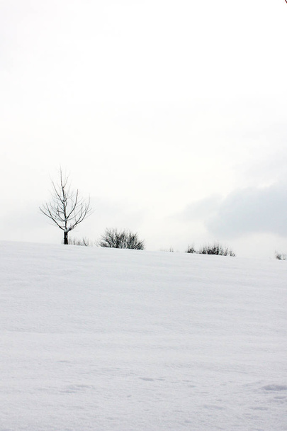 paesaggio invernale con neve - Foto, immagini