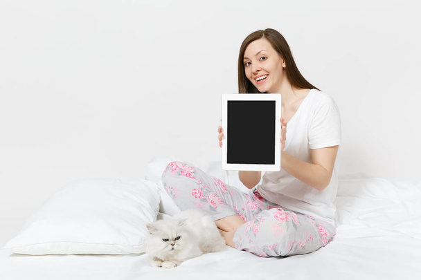 Woman sitting in bed with white cute Persian silver chinchilla cat isolated on white background. Female with tablet pc computer with blank screen spending time in room. Rest, relax, good mood concept - Φωτογραφία, εικόνα