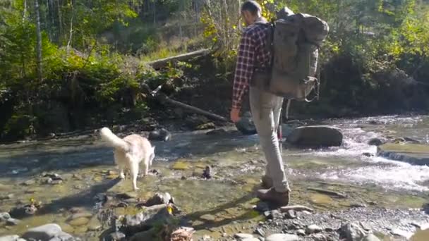 male with backpack and siberian husky dog hiking near the river - Video, Çekim