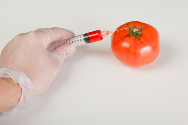 pomidor gmo w drodze iniekcji - Zdjęcie, obraz