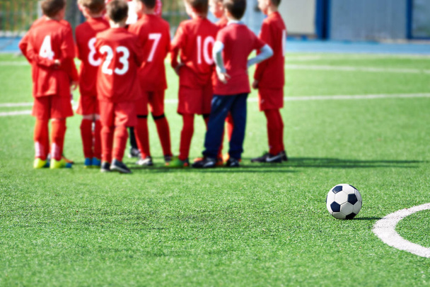 Football team of children and the ball on the field - Valokuva, kuva
