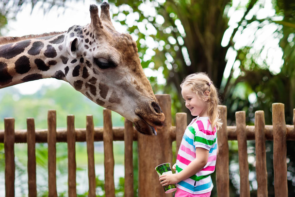 Familie giraf voederen in de dierentuin. Kinderen voeden giraffen in tropische Safaripark tijdens zomervakantie in Singapore. Kinderen kijken naar dieren. Meisje vruchten geven wild dier. - Foto, afbeelding