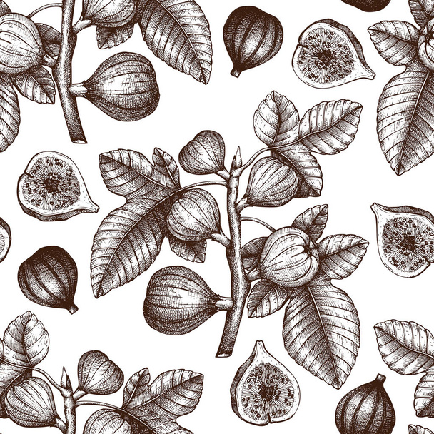 Hand drawn seamless pattern with fig fruit on white background - Vector, afbeelding