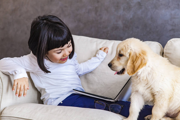 Cute little girl with laptop and gold retriever on sofa in the room - Fotografie, Obrázek