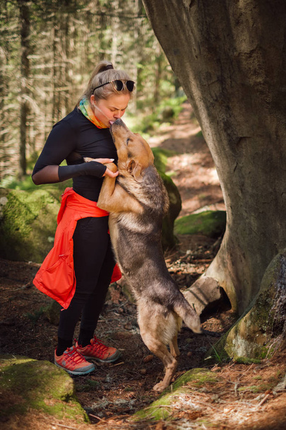 Joven excursionista rubia en traje deportivo vinculándose con un perro en un viaje por el bosque en un soleado día de primavera. Concepto de turismo
. - Foto, Imagen